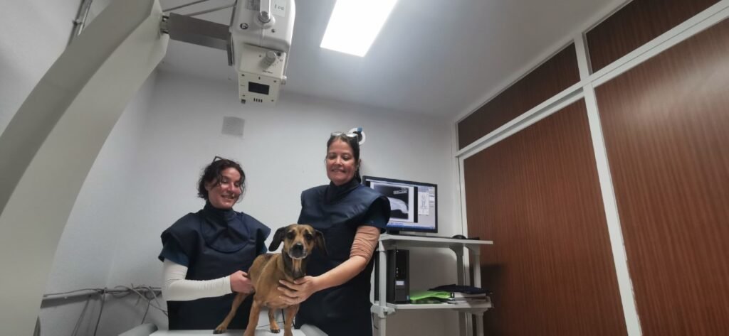 radiologia