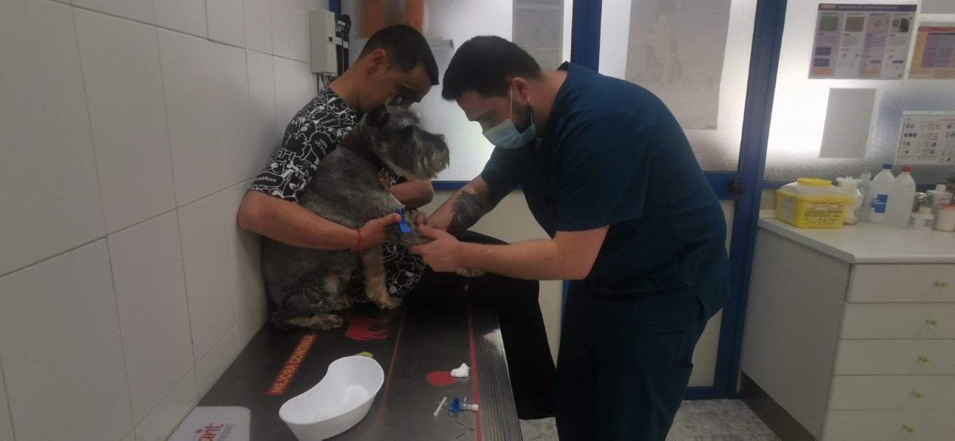 veterinarios